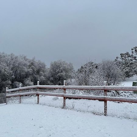 East Jindabyne- Cavallino 4 Bedroom Home エクステリア 写真