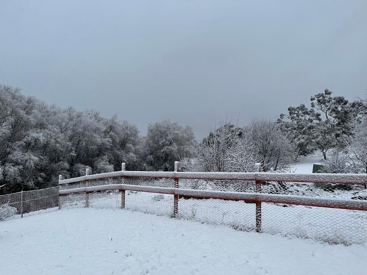 East Jindabyne- Cavallino 4 Bedroom Home エクステリア 写真